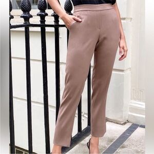 Aritzia xBabaton Ankle-Length Brown Pants